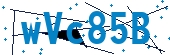 recaptcha