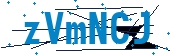 recaptcha