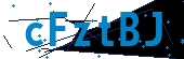 recaptcha